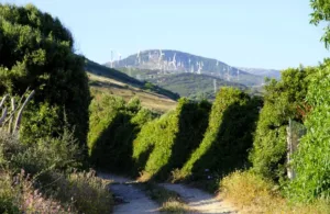 vistas al campo