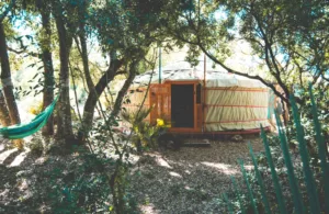 yurta