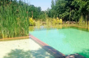 piscina naturalizada