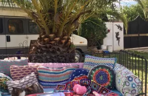 jardín del complejo