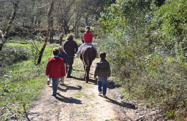 agroturismo