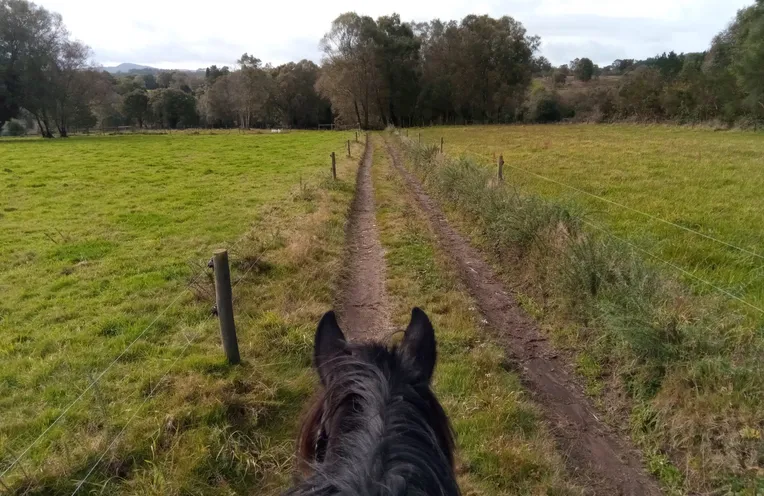 montando a caballo