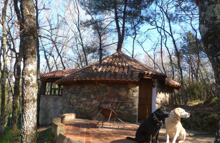 cabaña de piedra con perritos fuera