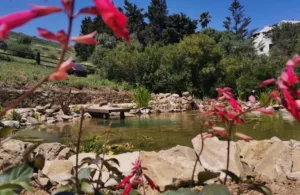 jardin