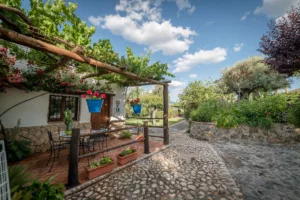 la terraza