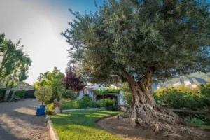 agroturismo en Andalucía