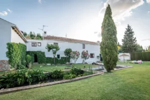 el jardín