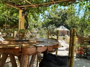 los alrededores