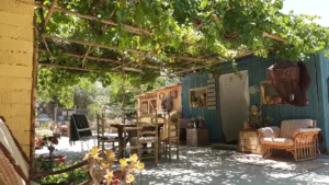 el jardín