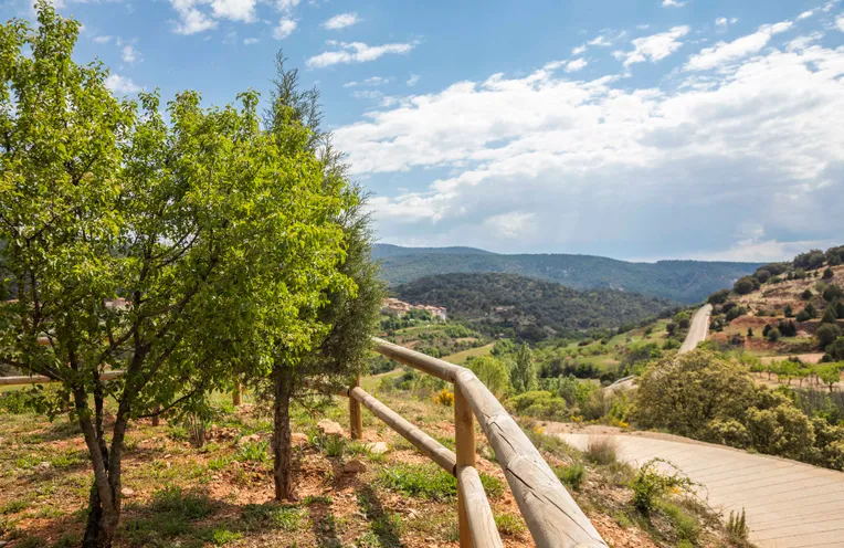 vistas a las montañas