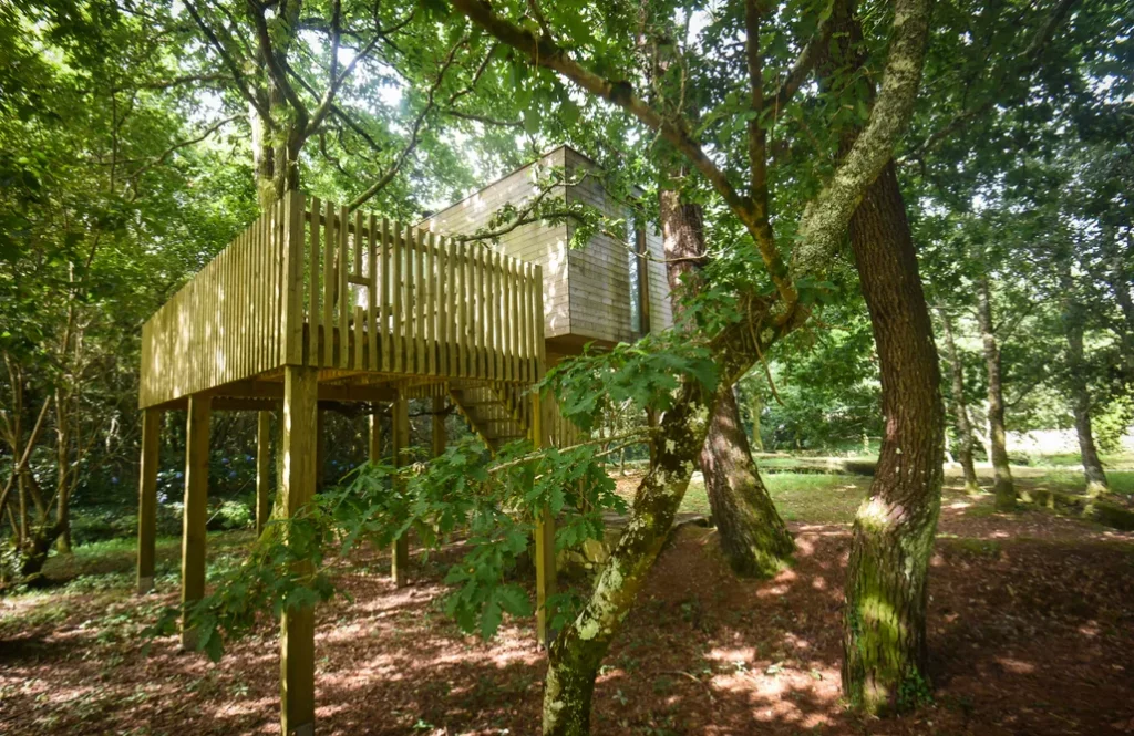 complejo de casas de madera en el bosque