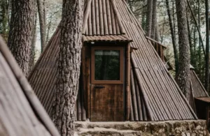 tipi de madera