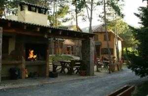 cabaña en los árboles