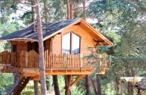 cabaña en lo alto de los árboles