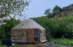 yurtas mongolas