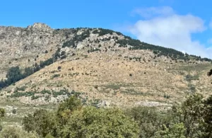 casita de campo en alquiler