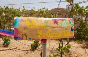complejo de alquiler vacacional
