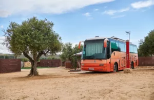 cabañas originales
