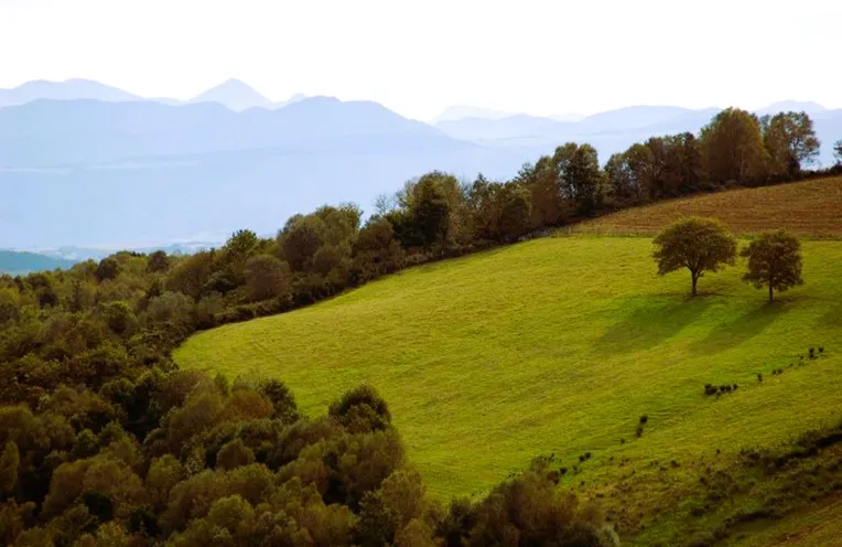 vistas al campo