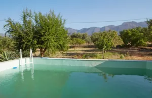 piscina del complejo
