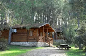 casitas de madera en el bosque