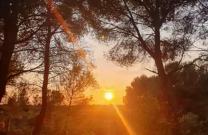 un atardecer de verano