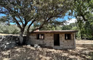 casita de campo en alquiler