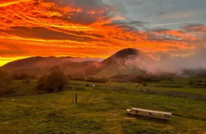 vistas al campo