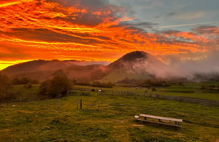 vistas al campo