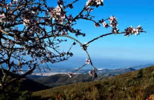 vistas al paisaje