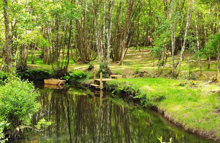 un río dentro del bosque