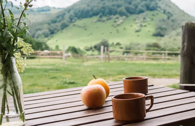 vistas al campo