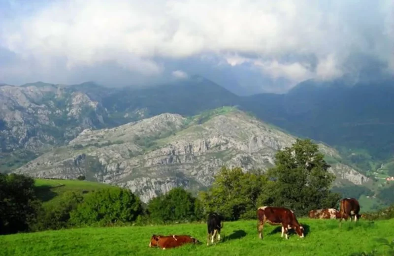 casas vacacionales 