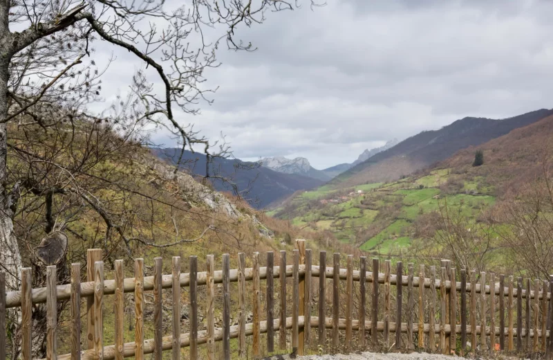 vistas a la montaña