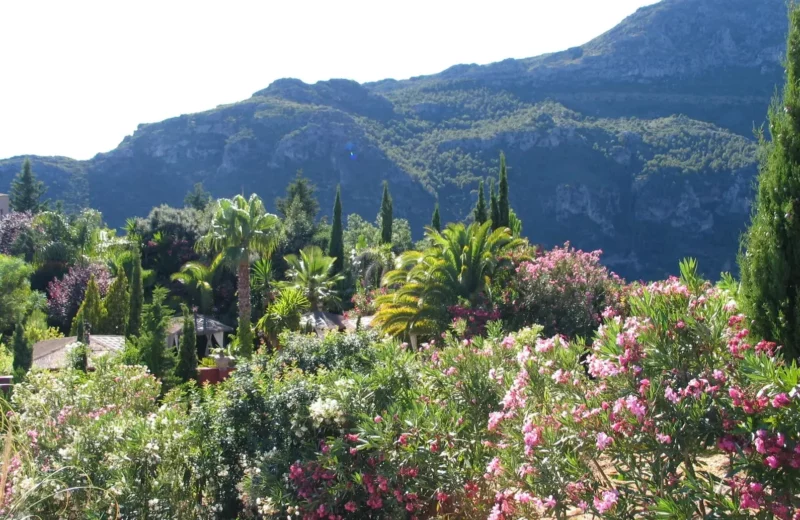 vistas al paisaje