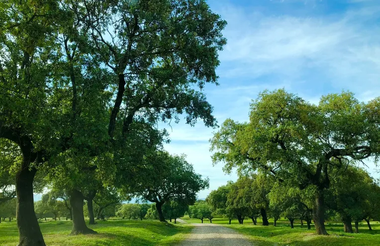 agroturismo