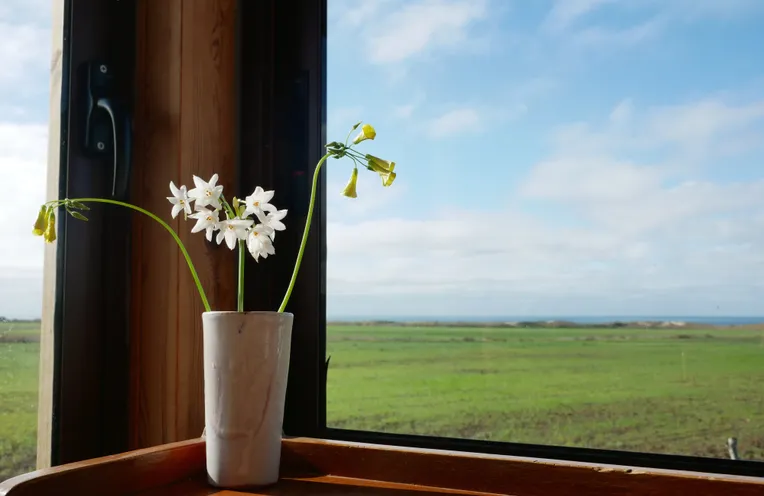 vistas desde la ventana