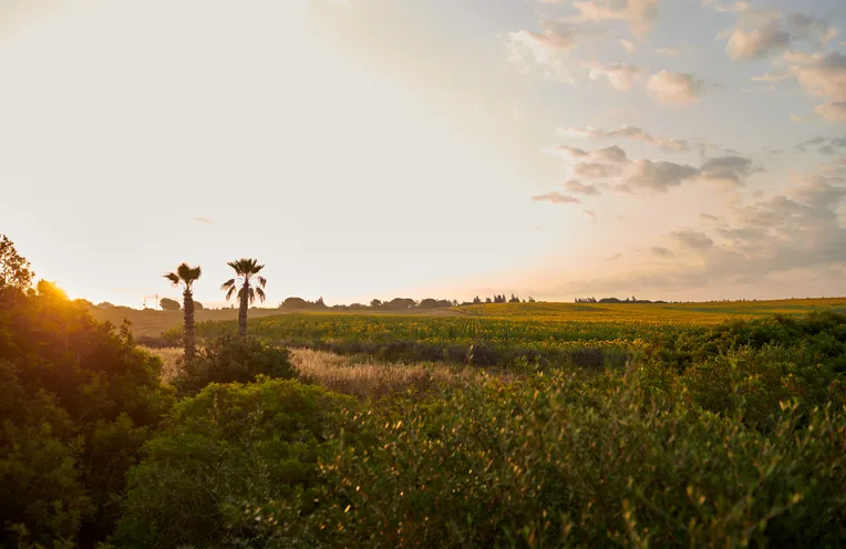 vistas al paisaje