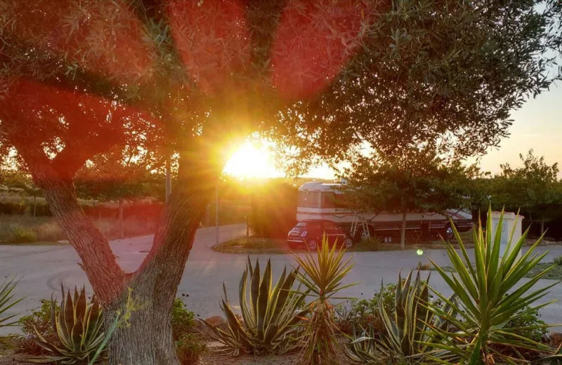 un atardecer en el camping