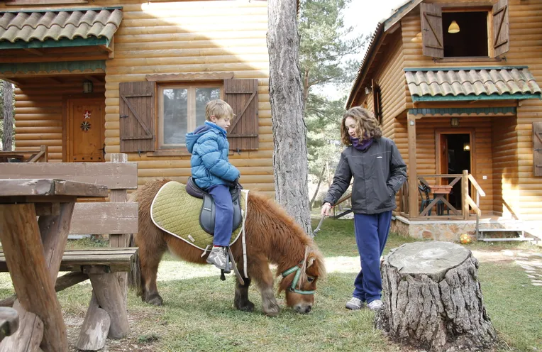 niños con un pony