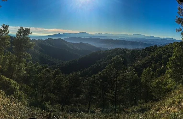 vistas al paisaje