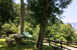 jardín de la casa