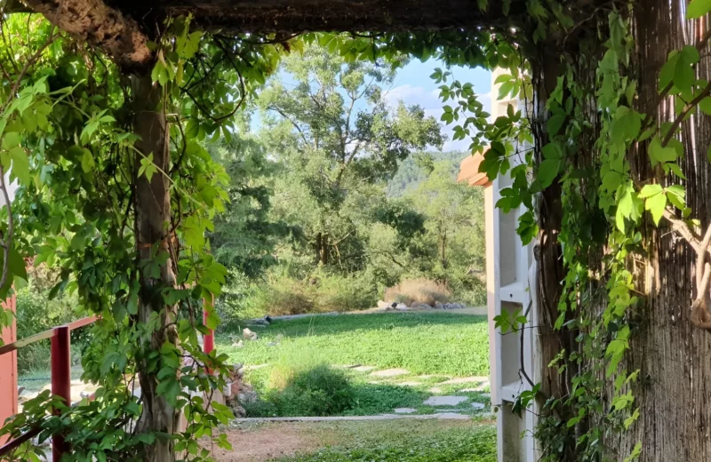 vistas al jardín