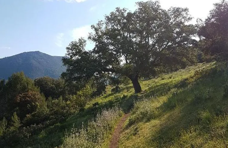 vistas al paisaje