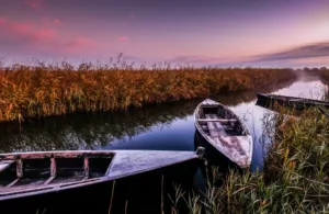 vistas al río