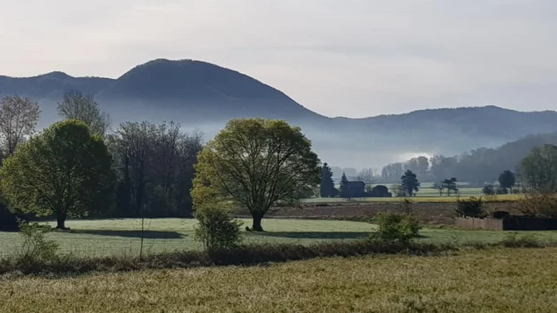 vistas al paisaje