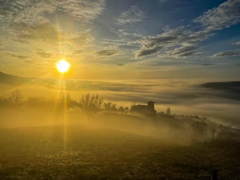 vistas al campo