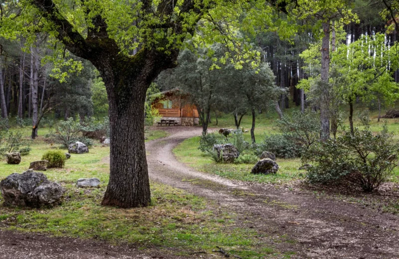 Cabañas de madera 