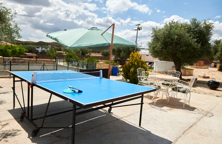 zona ping pong