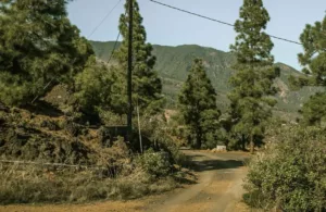 camino a la finca
